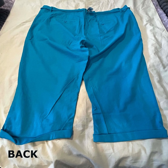 NEW PHOTOS! CAPRIS, STRETCH LINEN, CARIBE BLUE, SIZE 24, FRONT ZIPPER, POCKETS, - Picture 5 of 16